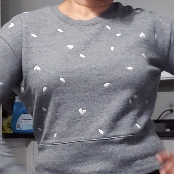 Madewell WOMEN'S GRAY PETAL HEARTS EMBROIDERED LONG SLEEVE SWEATSHIRT, S… - Picture 10 of 16